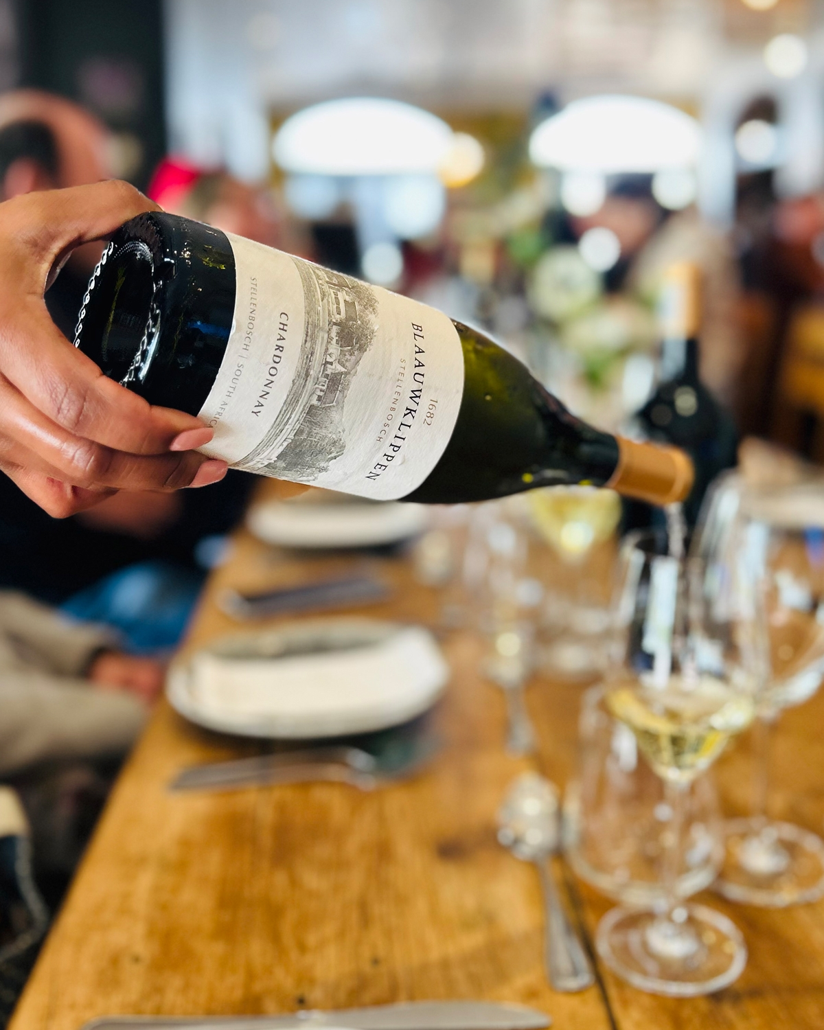 Best of Chardonnay 🍾