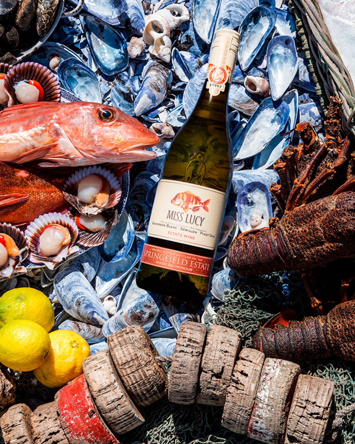 Springfield Miss Lucy 2025