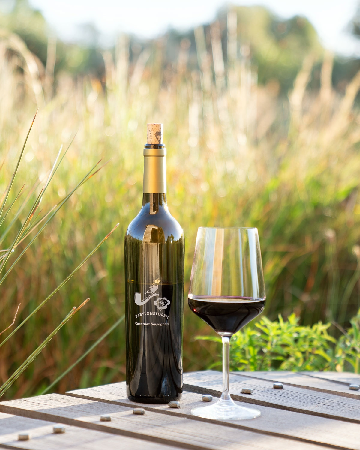 Babylonstoren Cabernet Sauvignon 2024