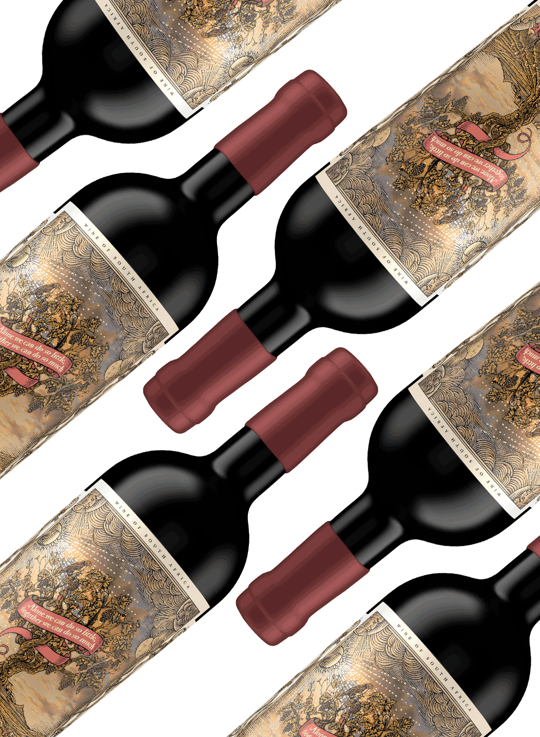 Pinotage Day Special Imvini Wethu 11 + 1 🍷