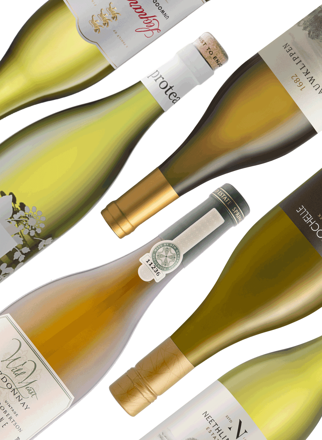 Best of Chardonnay 🍾