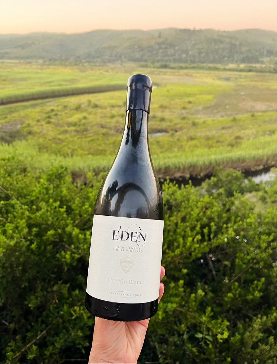 Raats Eden High Density Single Vineyard Chenin Blanc 2023