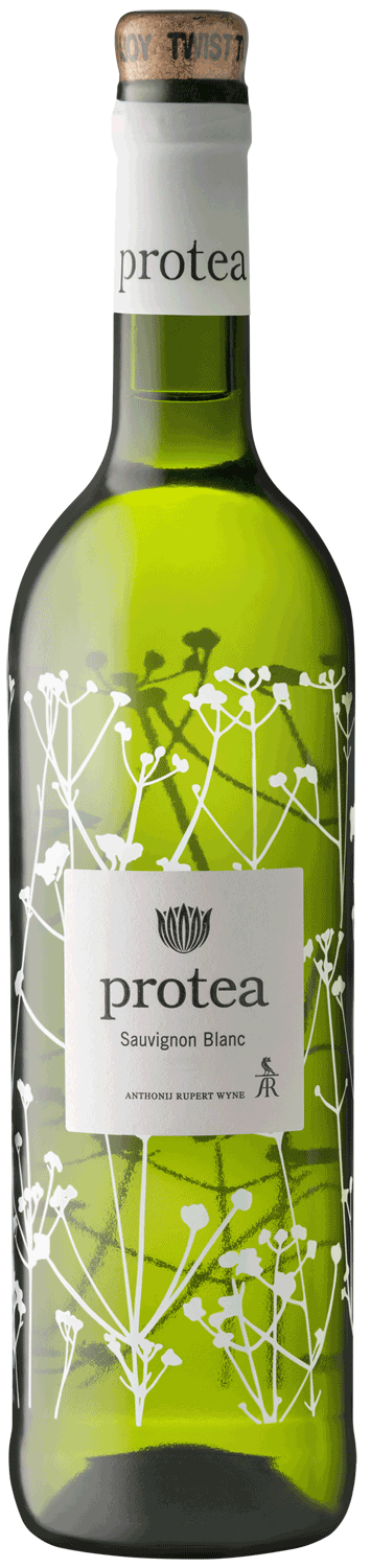 Anthonij Rupert Protea Sauvignon Blanc 2025