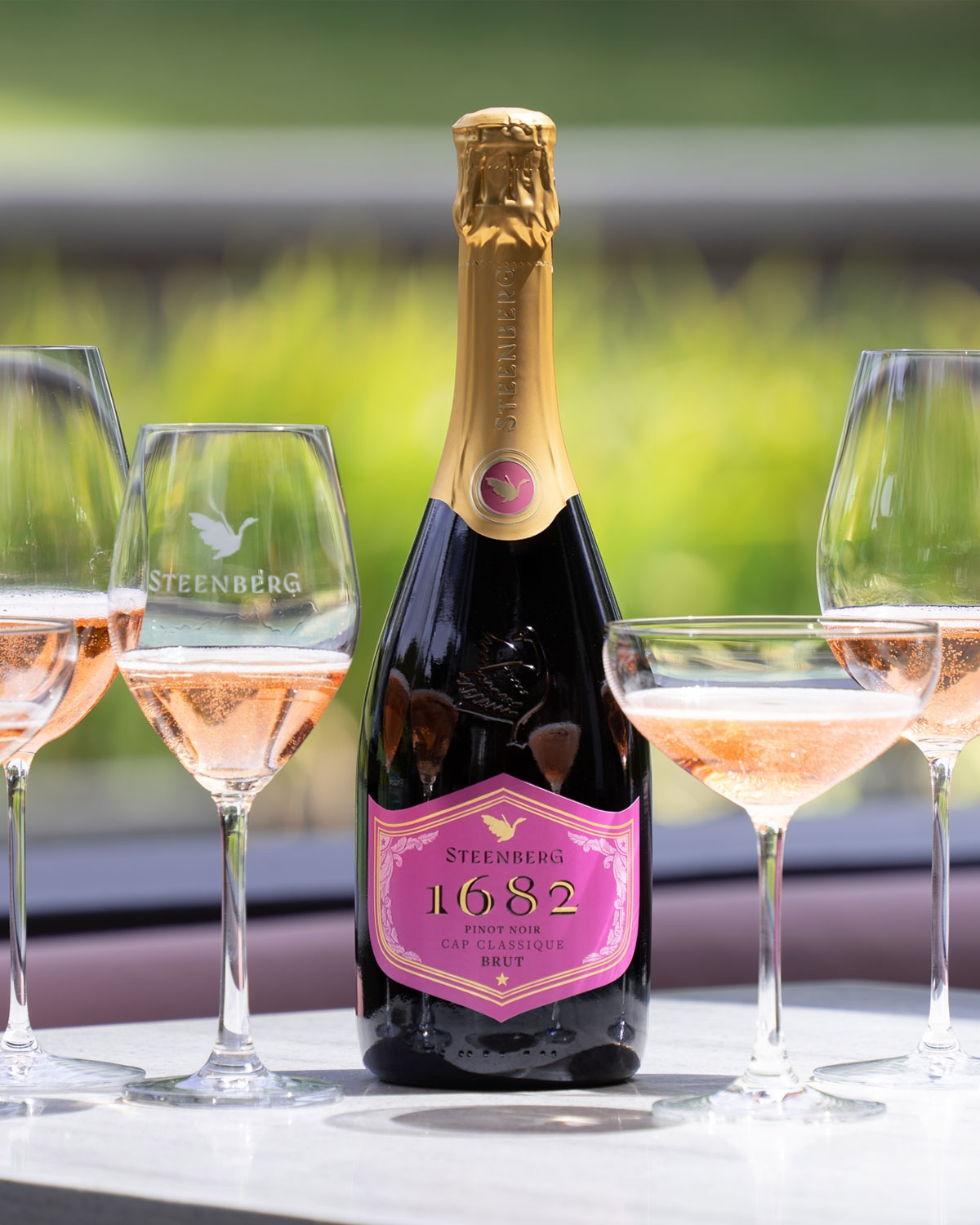 Steenberg 1682 Pinot Noir Cap Classique n/v