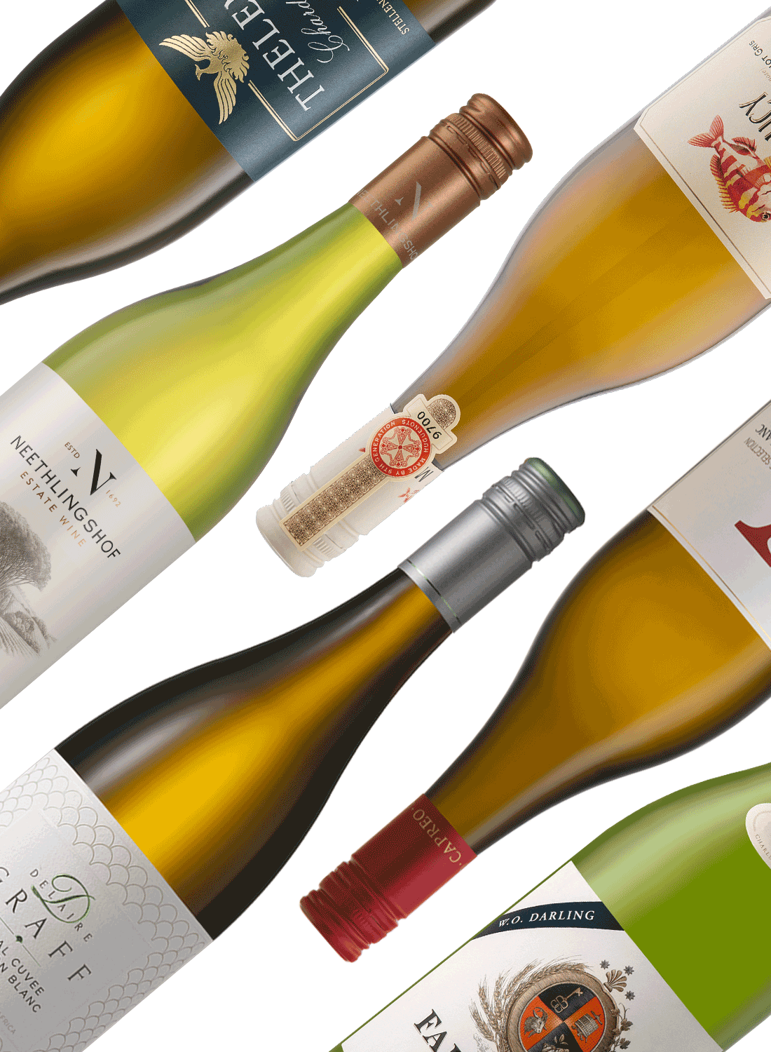 Best of Whites 🥂 White Wine Package