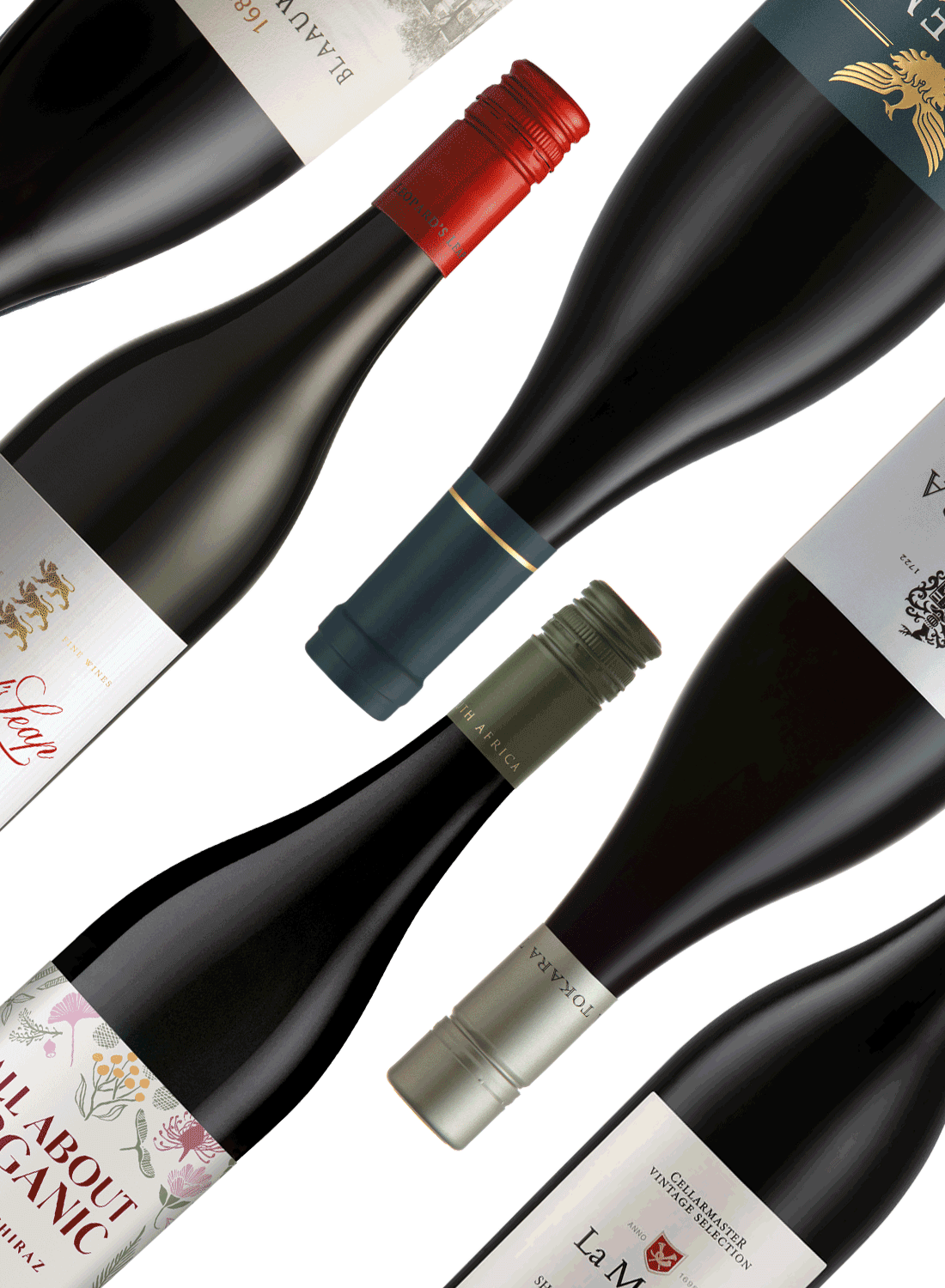 Best of Shiraz 💃