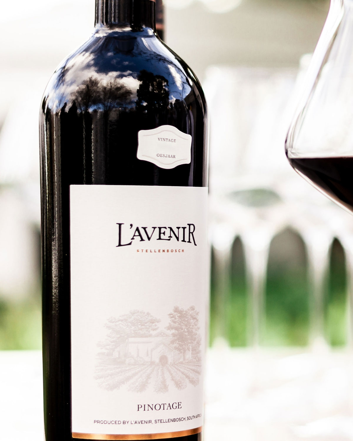 L´Avenir Provenance Pinotage 2023