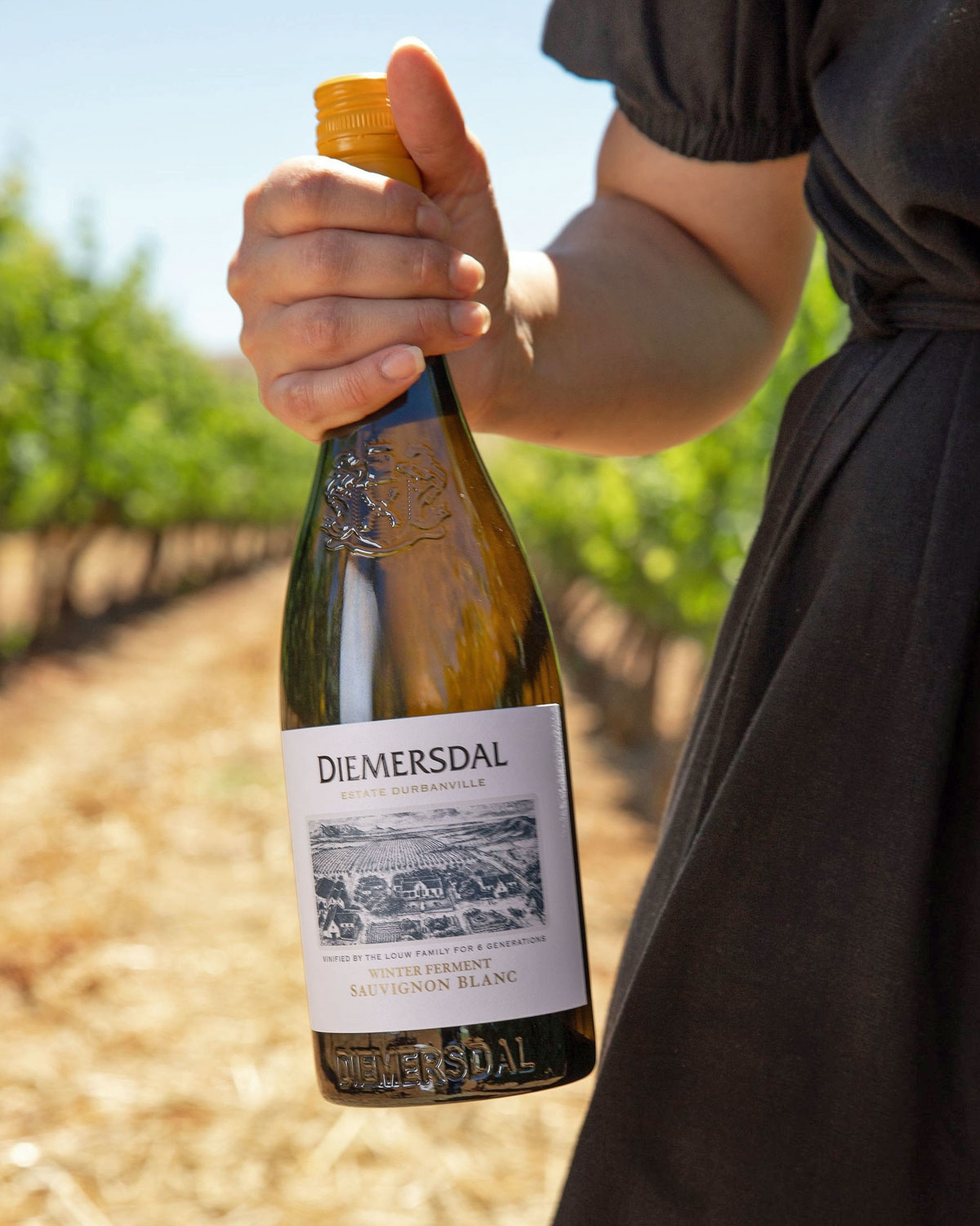 Diemersdal Winter Ferment Sauvignon Blanc 2025