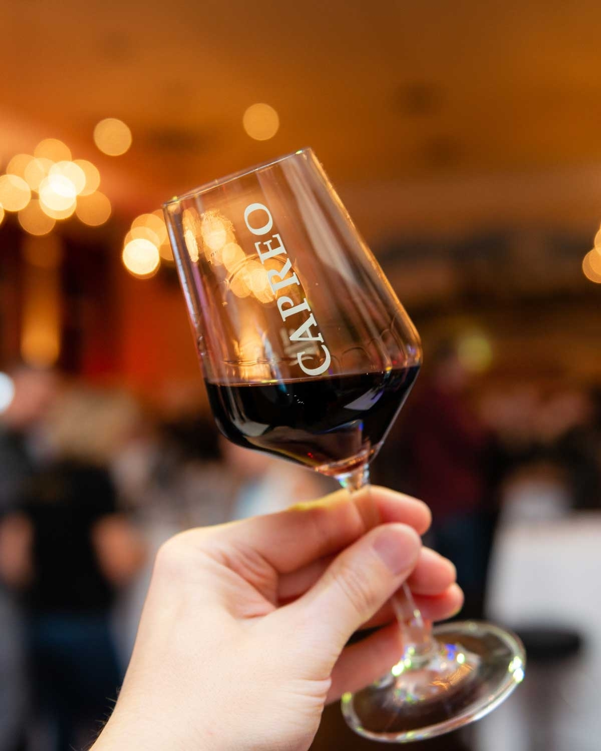 Ticket: South Africa Wine Festival 2026