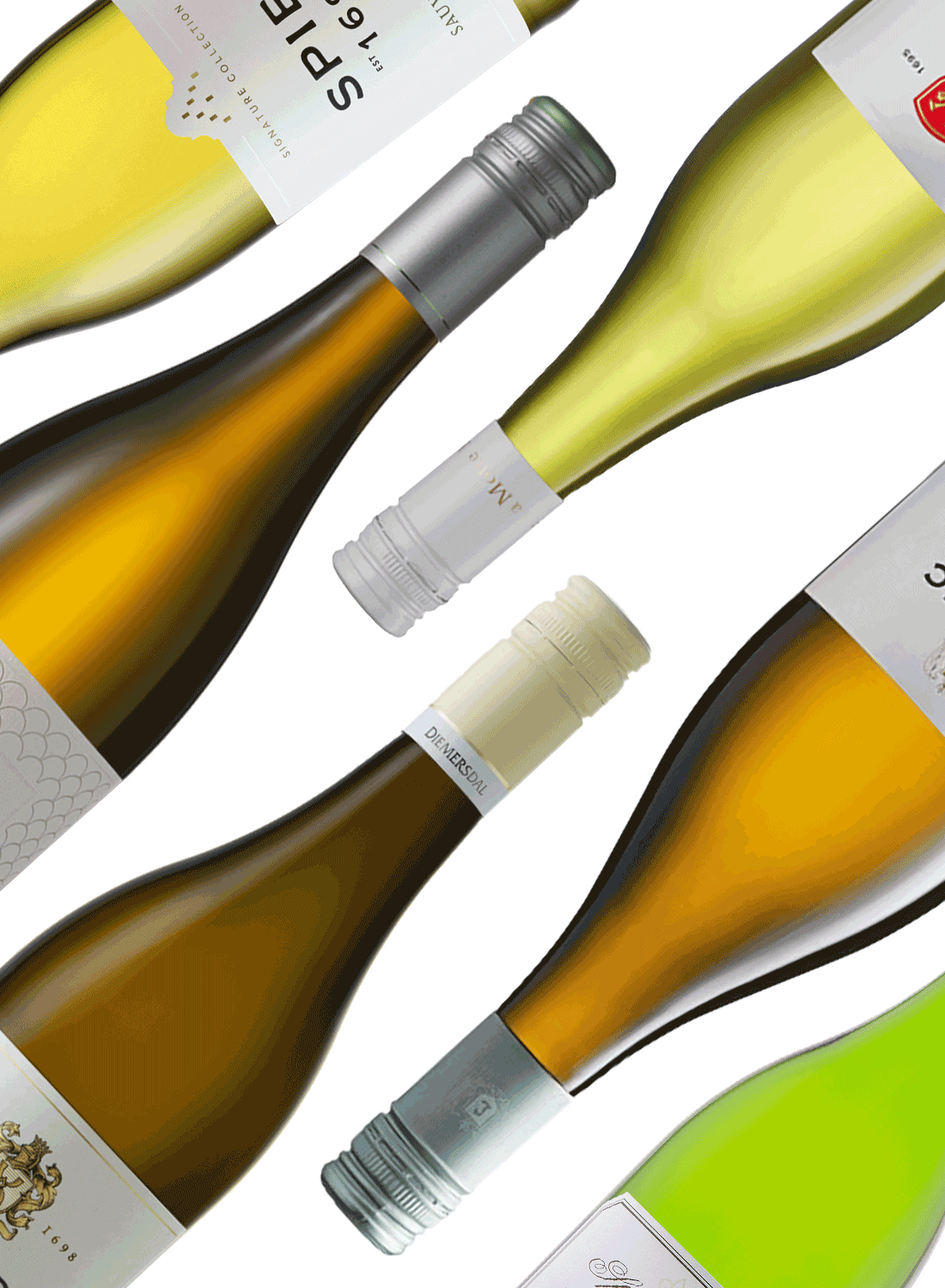 Best of Sauvignon Blanc 🍋