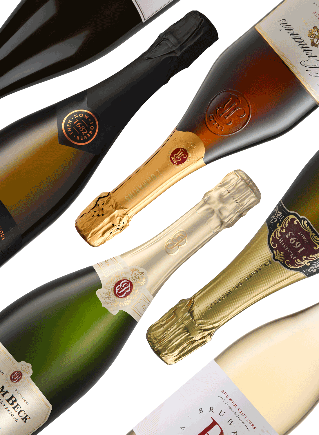 Best of Bubbly 🥂 Sparkling Wine Package