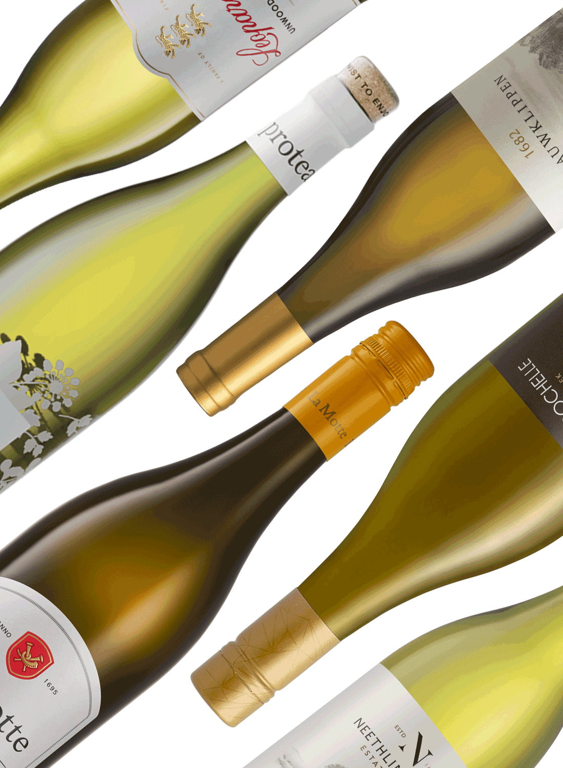Best of Chardonnay 🍾