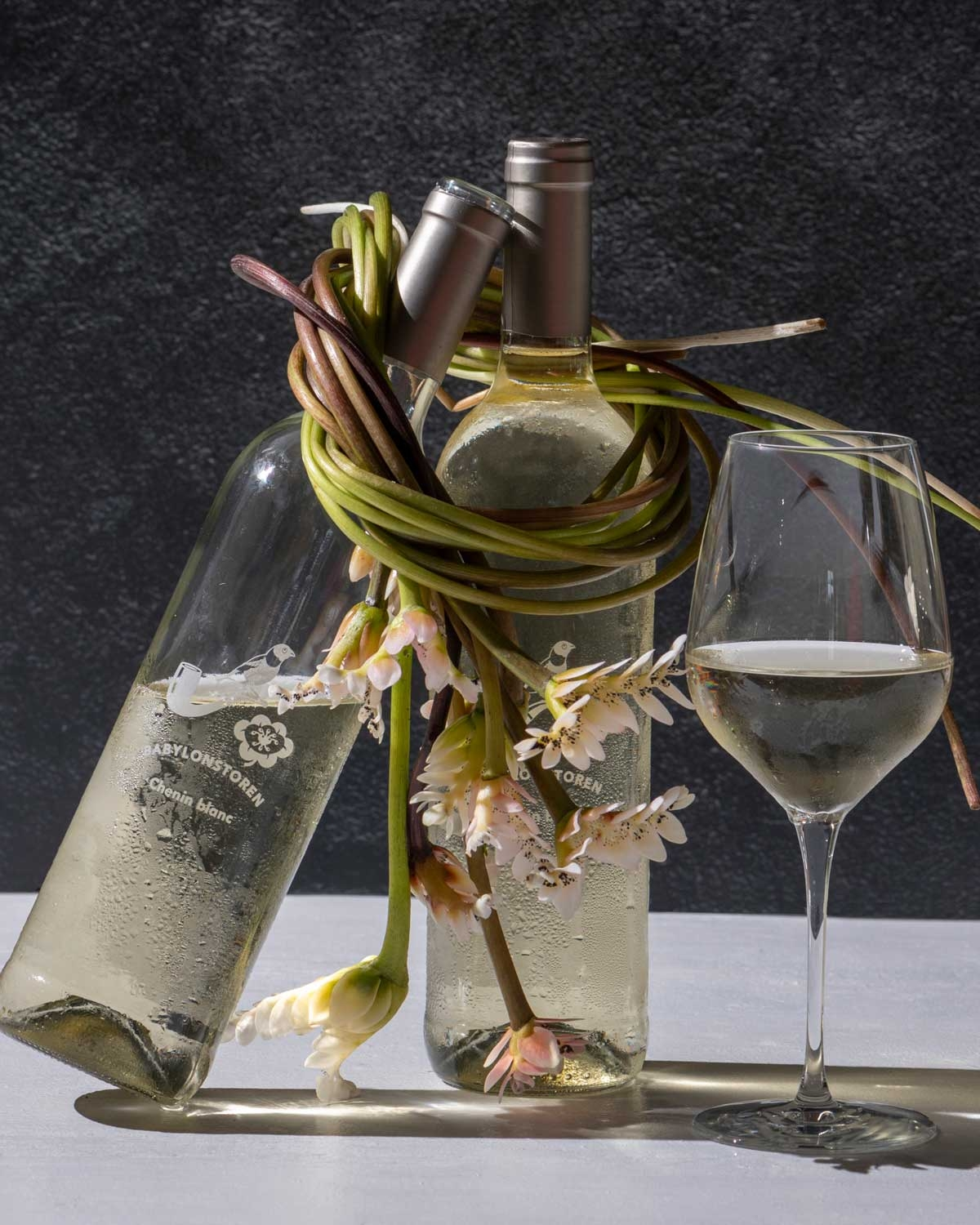 Best of Chenin Blanc 🍍