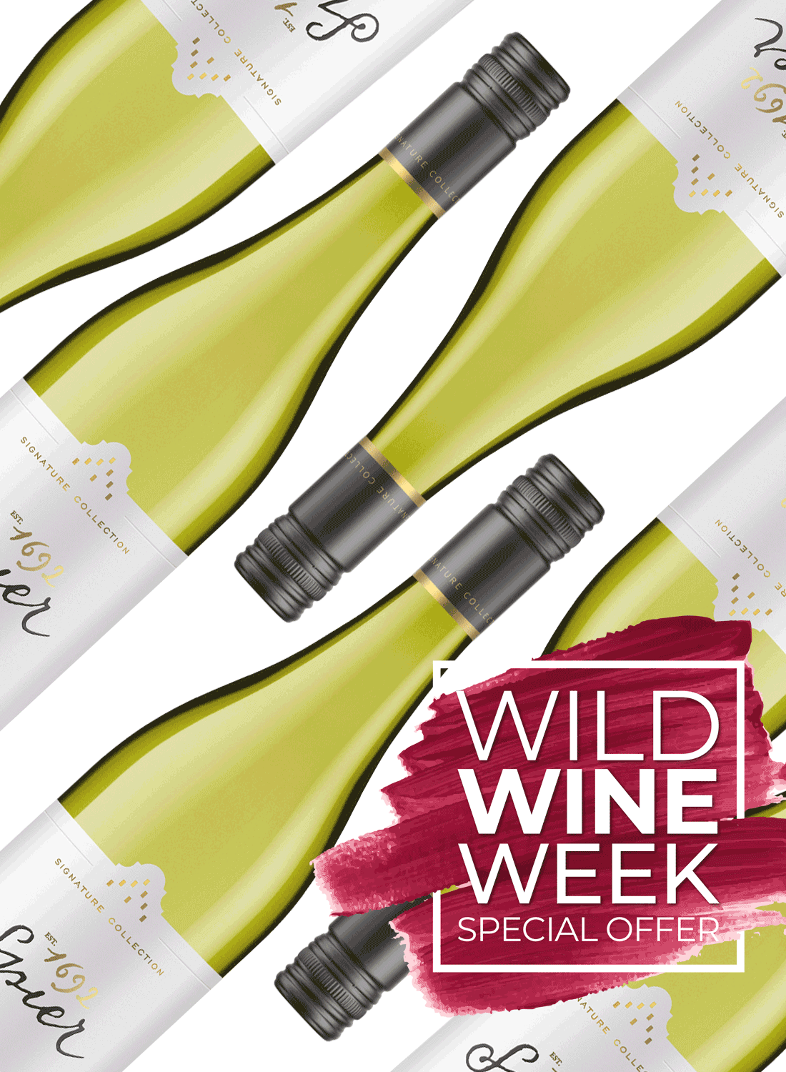 Spier Signature Collection Sauvignon Blanc 2024 💥 WWW Special