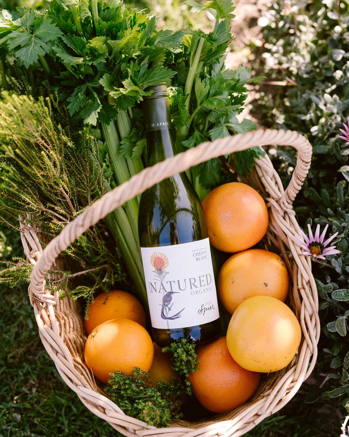 Spier Good Natured Organic Chenin Blanc 2024