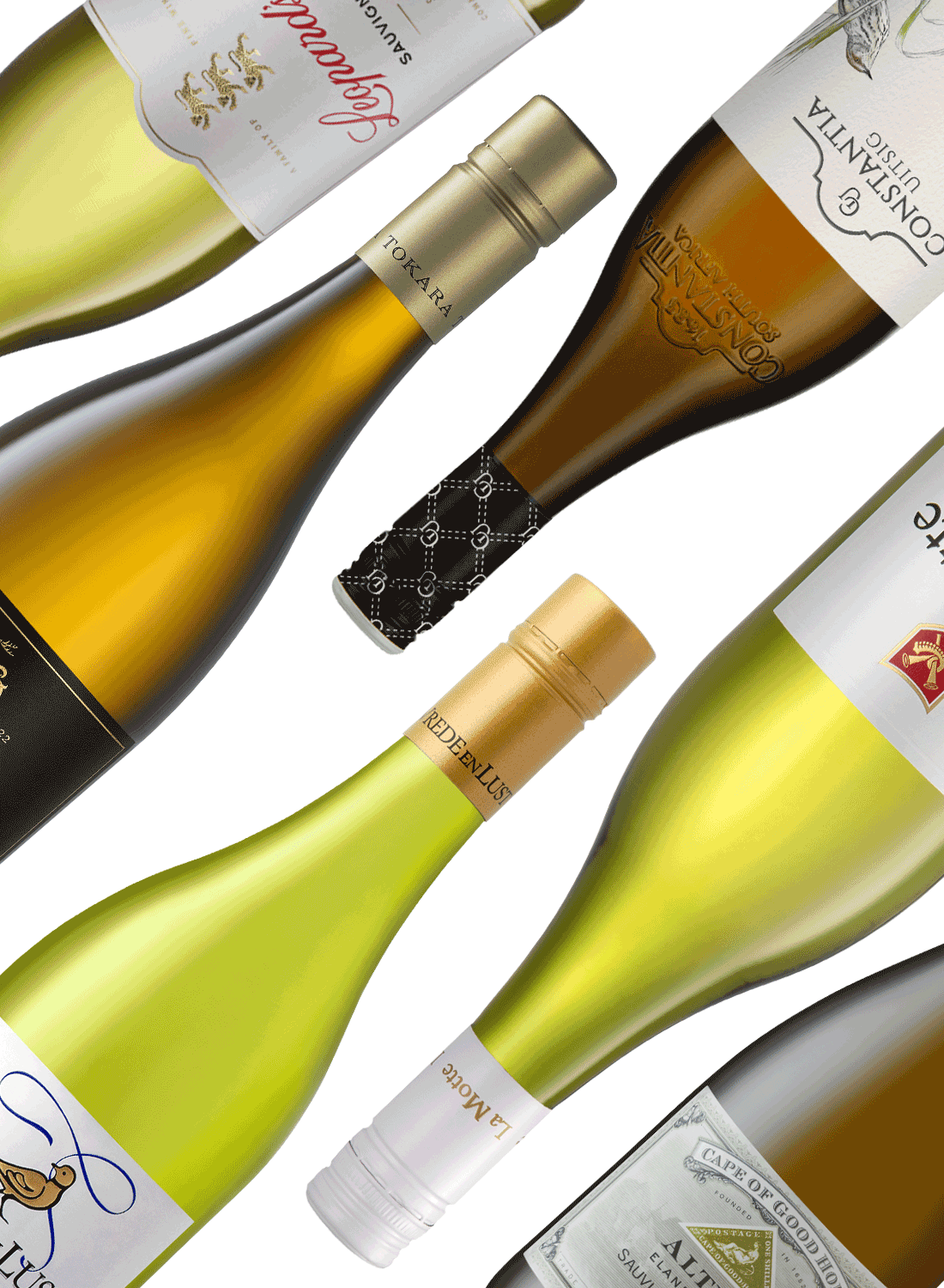 Best of Sauvignon Blanc 🍋