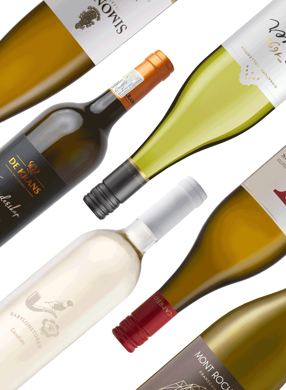 Best of Whites 🥂 White Wine Package