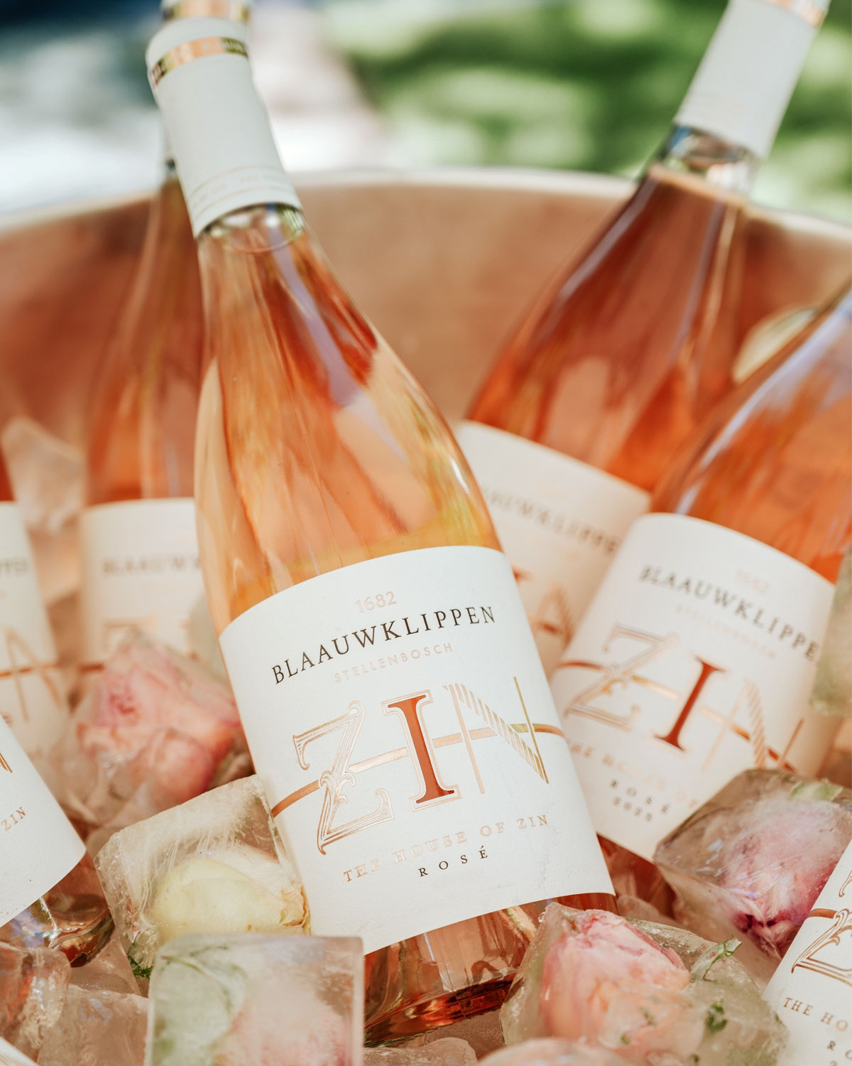 Blaauwklippen The House of Zin Rosé 2025