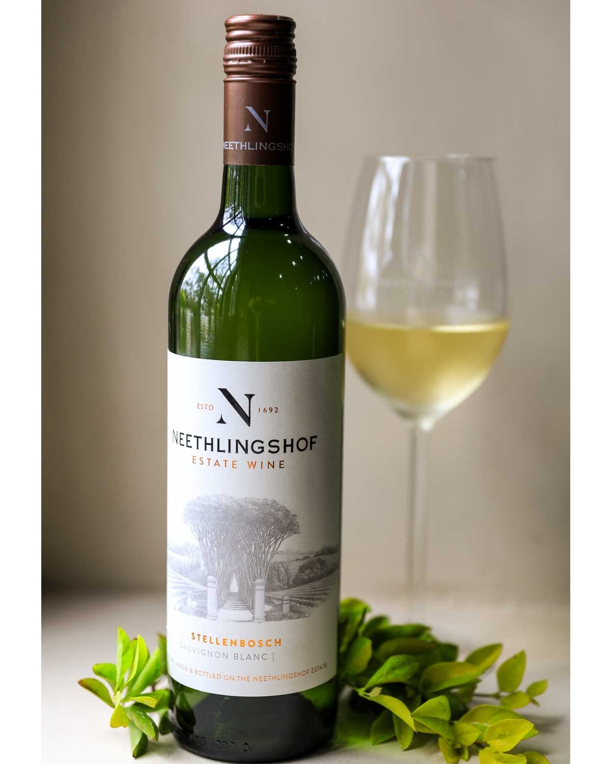 Neethlingshof Sauvignon Blanc 2025