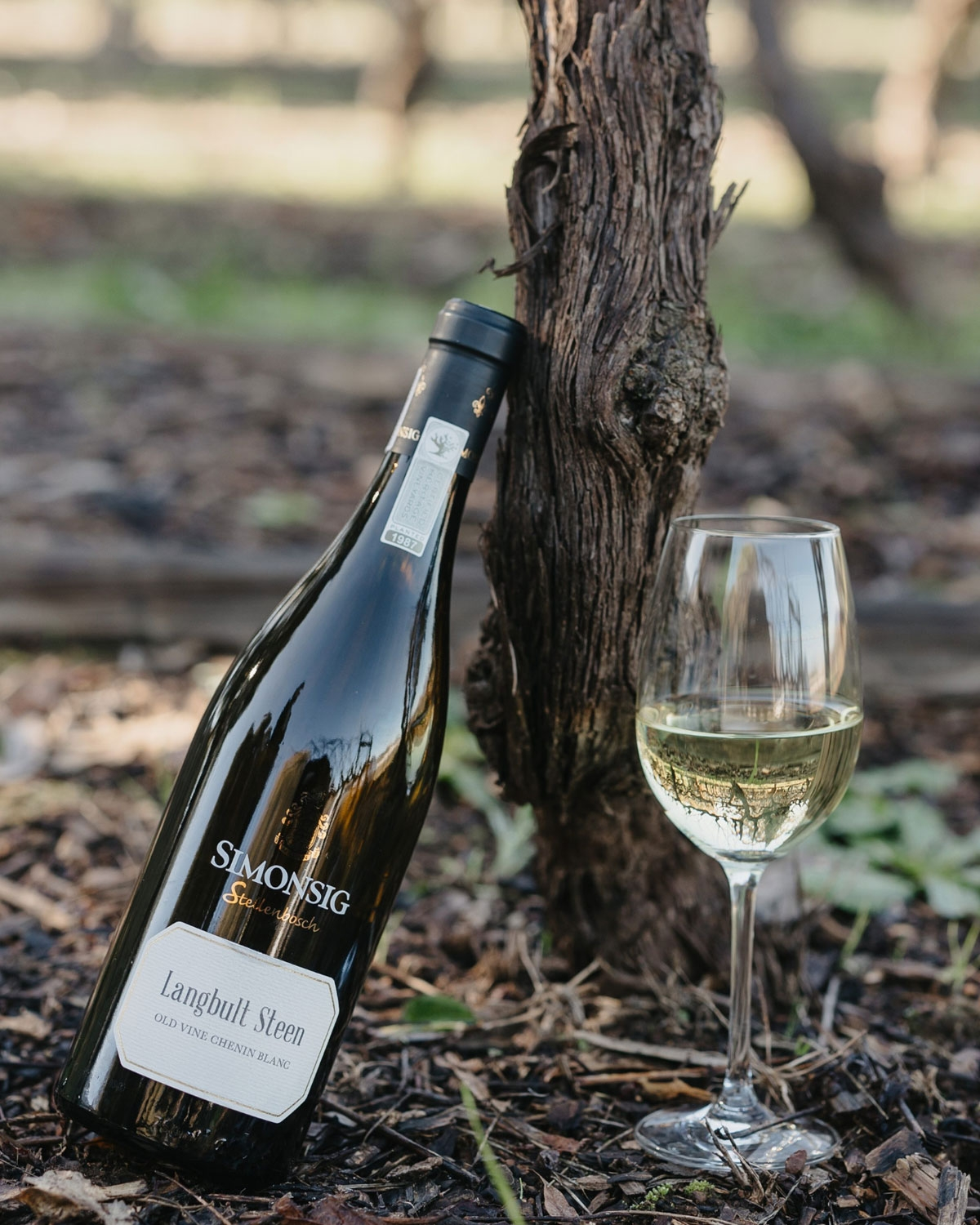 Simonsig Langbult Steen Old Vine Chenin Blanc 2023
