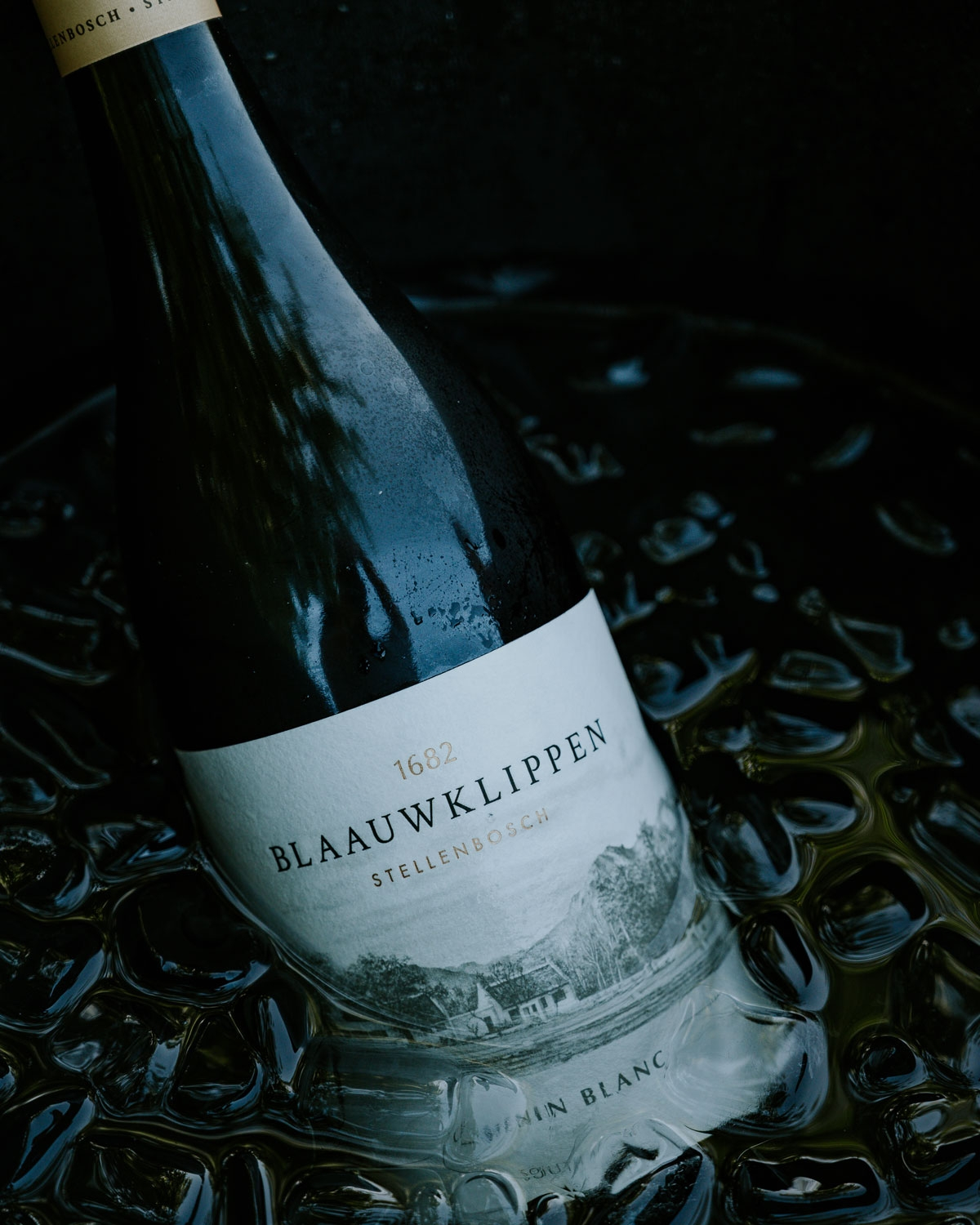 Blaauwklippen Chenin Blanc 2025