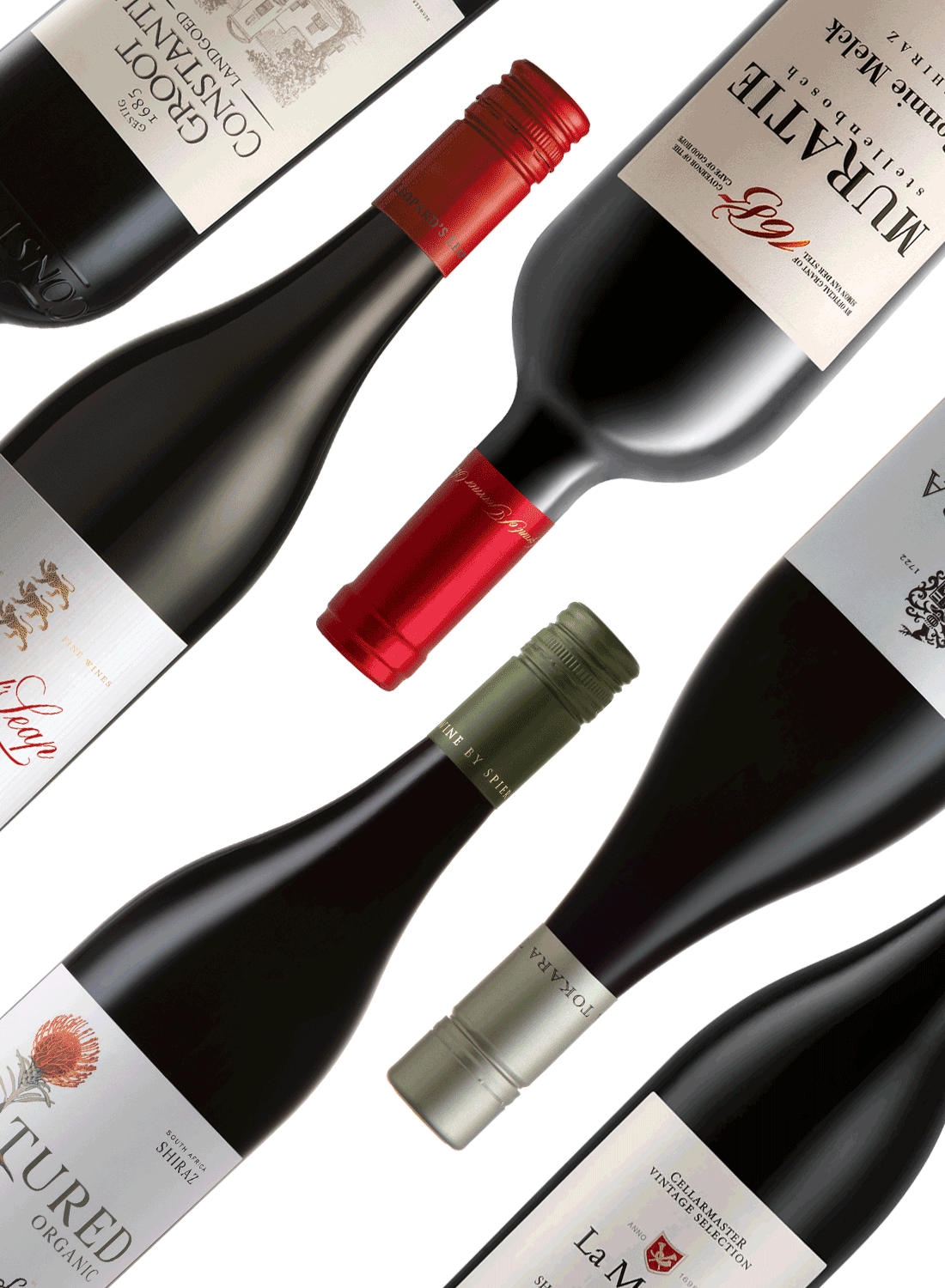 Best of Shiraz 💃