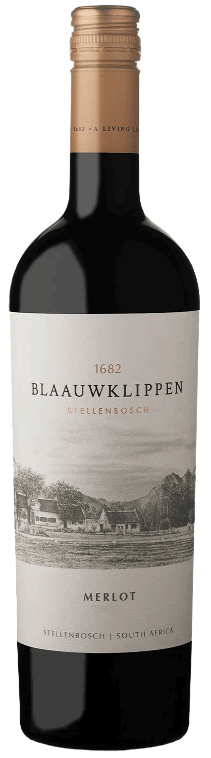 Blaauwklippen Merlot 2024
