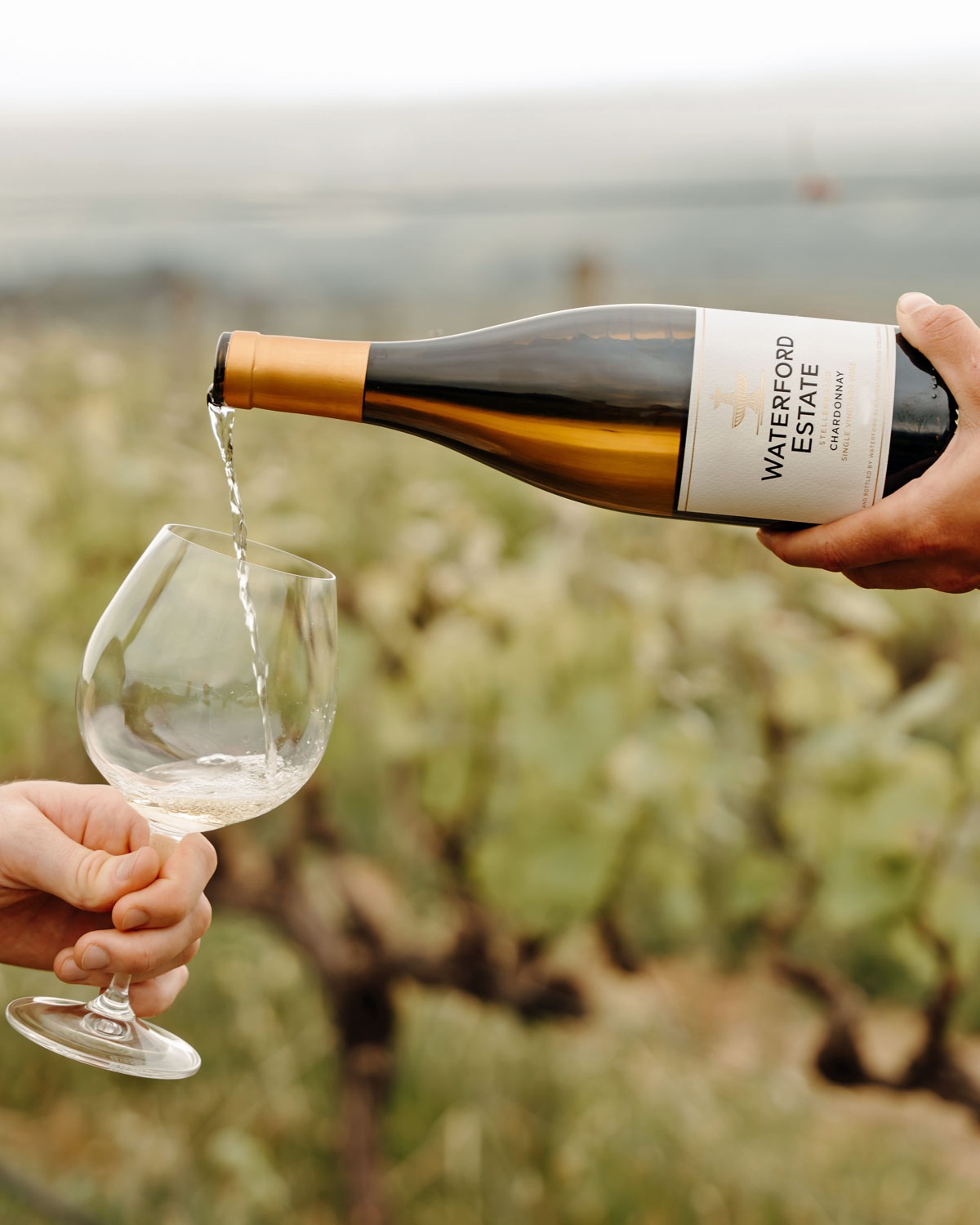 Waterford Estate Single Vineyard Chardonnay 2022