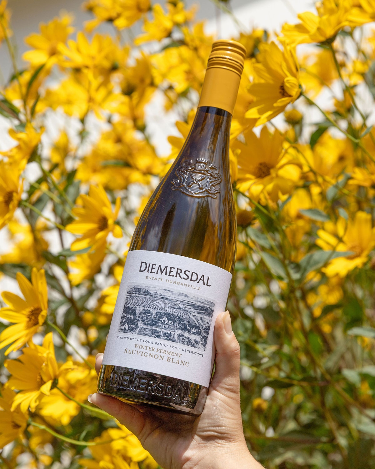 Diemersdal Winter Ferment Sauvignon Blanc 2024