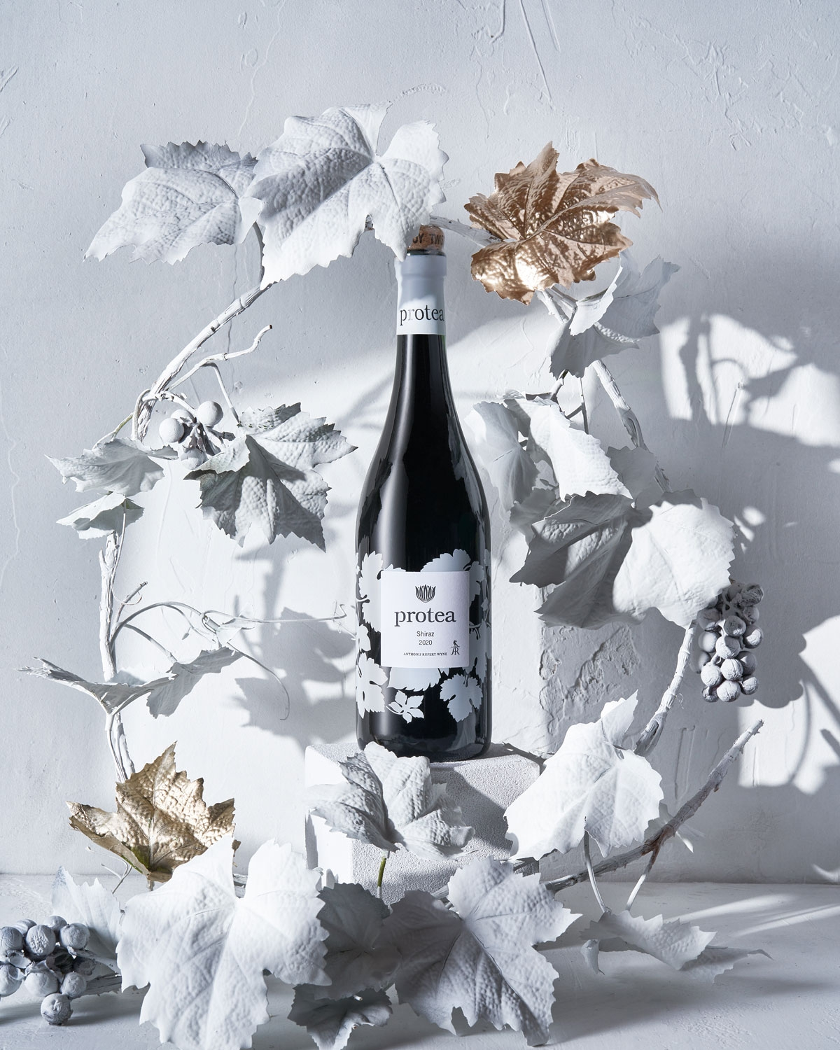 Anthonij Rupert Protea Shiraz 2023