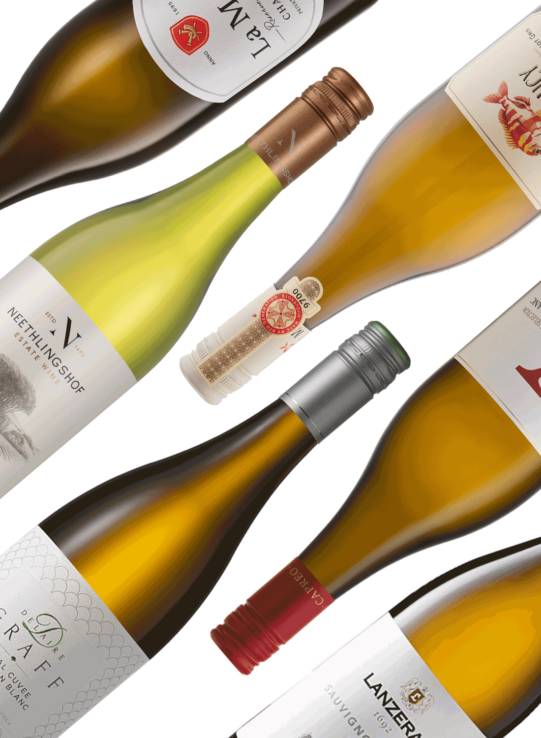 Best of Whites 🥂 White Wine Package
