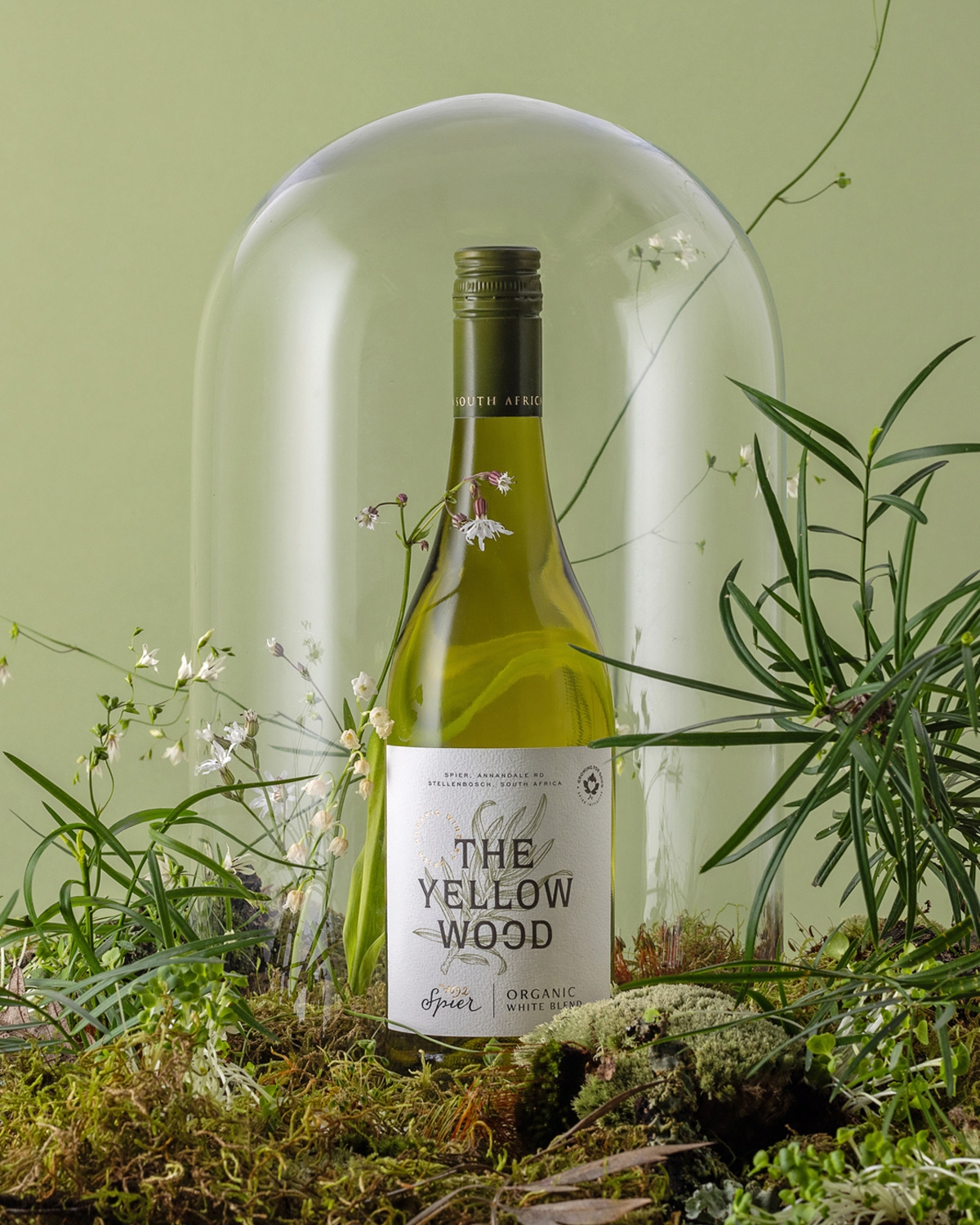 Spier The Yellowwood Organic White 2024