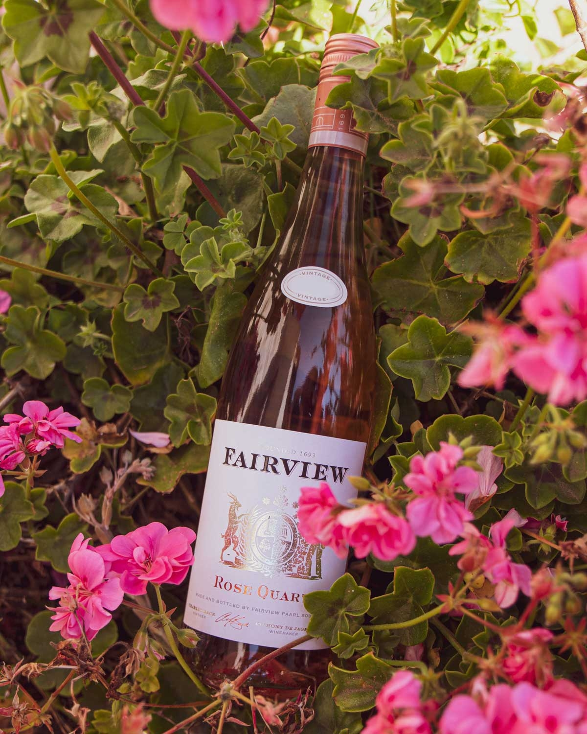 Fairview Rose Quartz 2025 Fairview Rose Quartz 2025