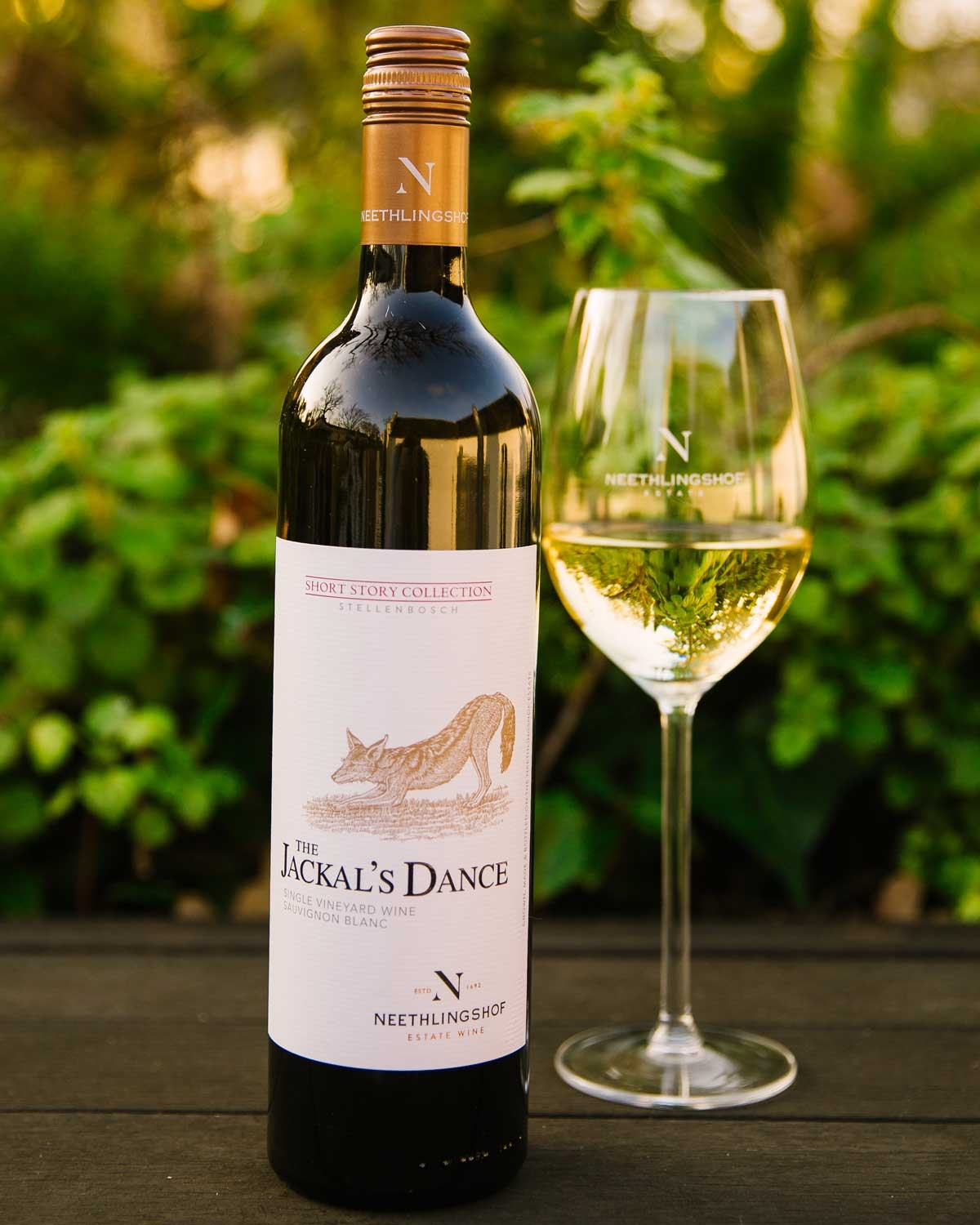 Neethlingshof Short Story Collection The Jackal's Dance 2025