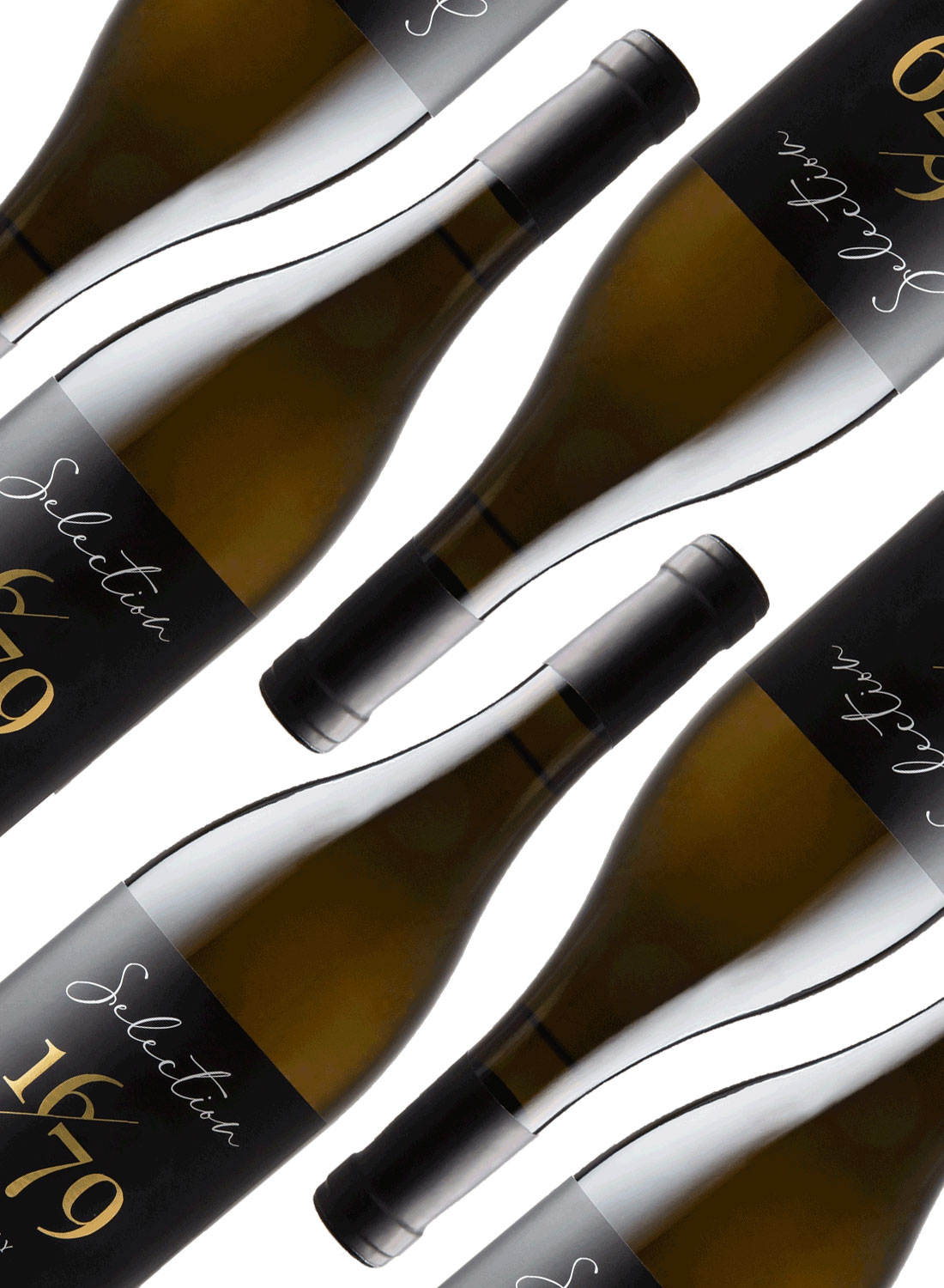 Wein des Monats März Selection 16/79 Chardonnay 2021 - Buy 5 get 6