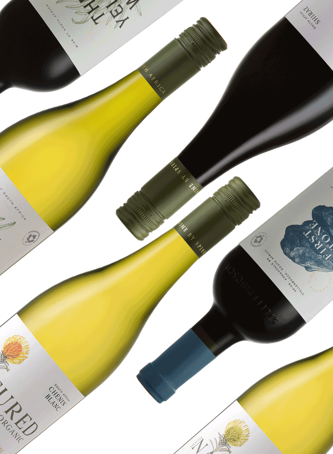 Spier Organic Wines Tasting Package