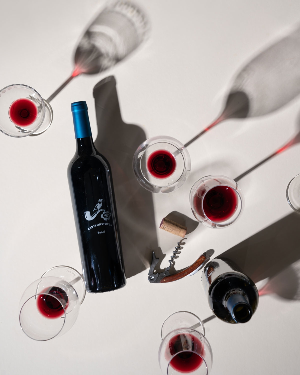 Babylonstoren Babel Red Blend 2023 Magnum