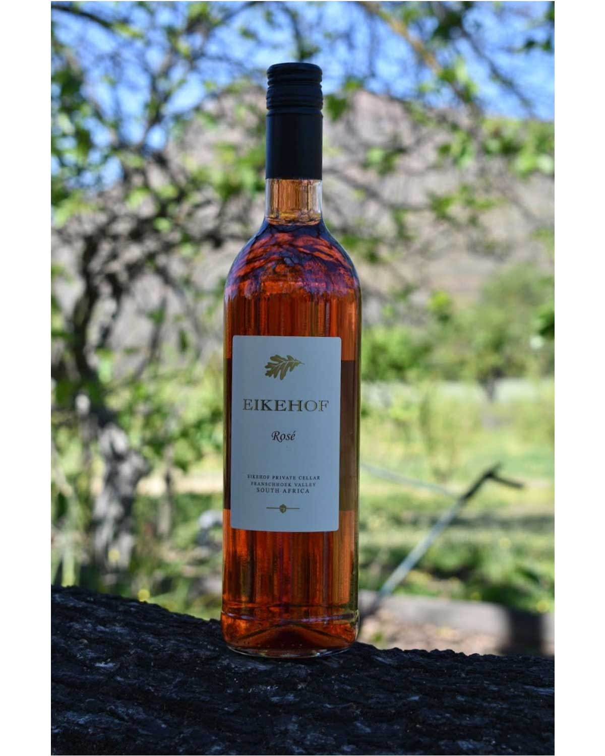 Best of Rosé 🌸 Rosé-Weinpaket