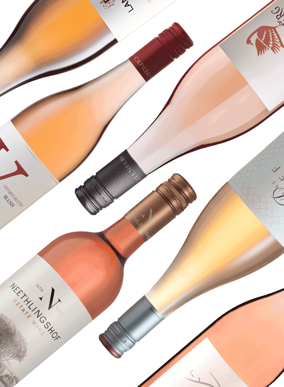 Best of Rosés - Rosé-Weinpaket