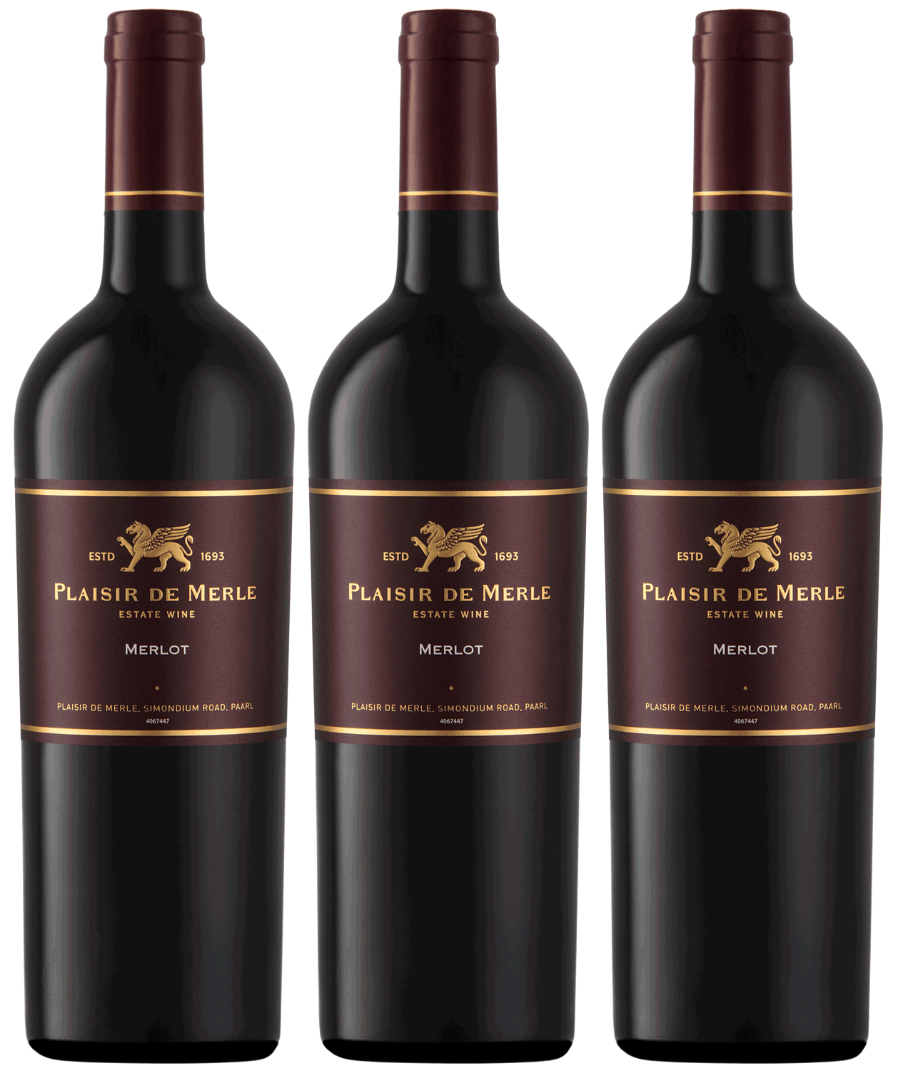Plaisir Merlot 2019 - Buy 4 get 6