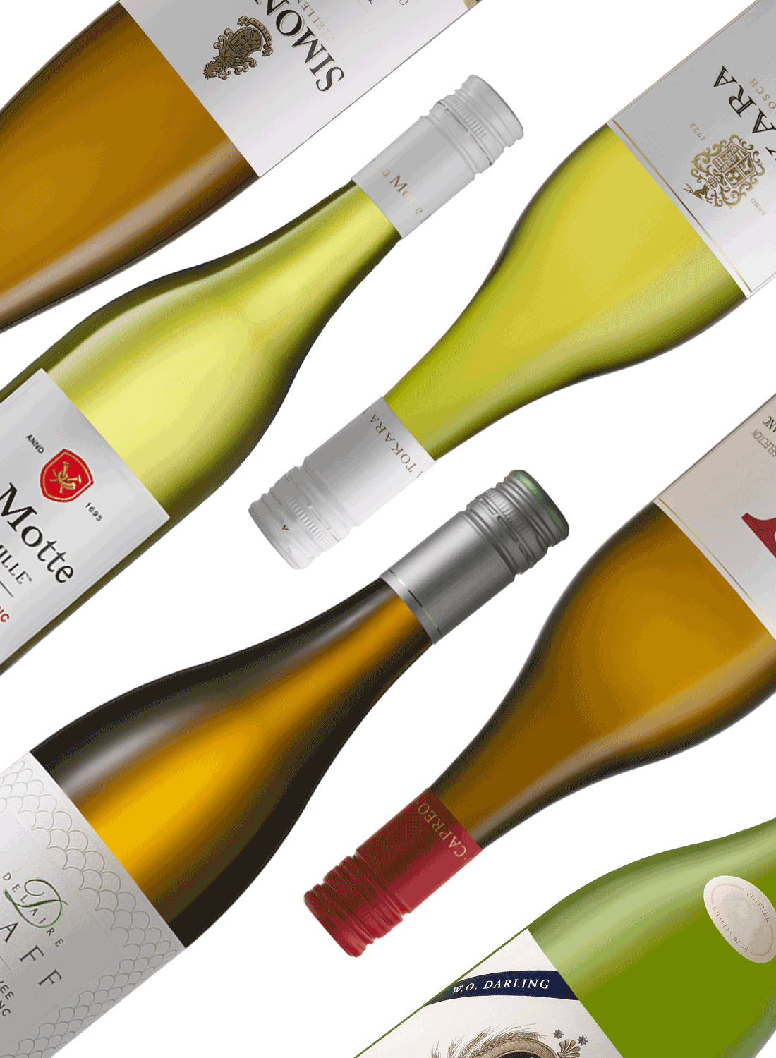 Best of Whites 🥂 Weißweinpaket