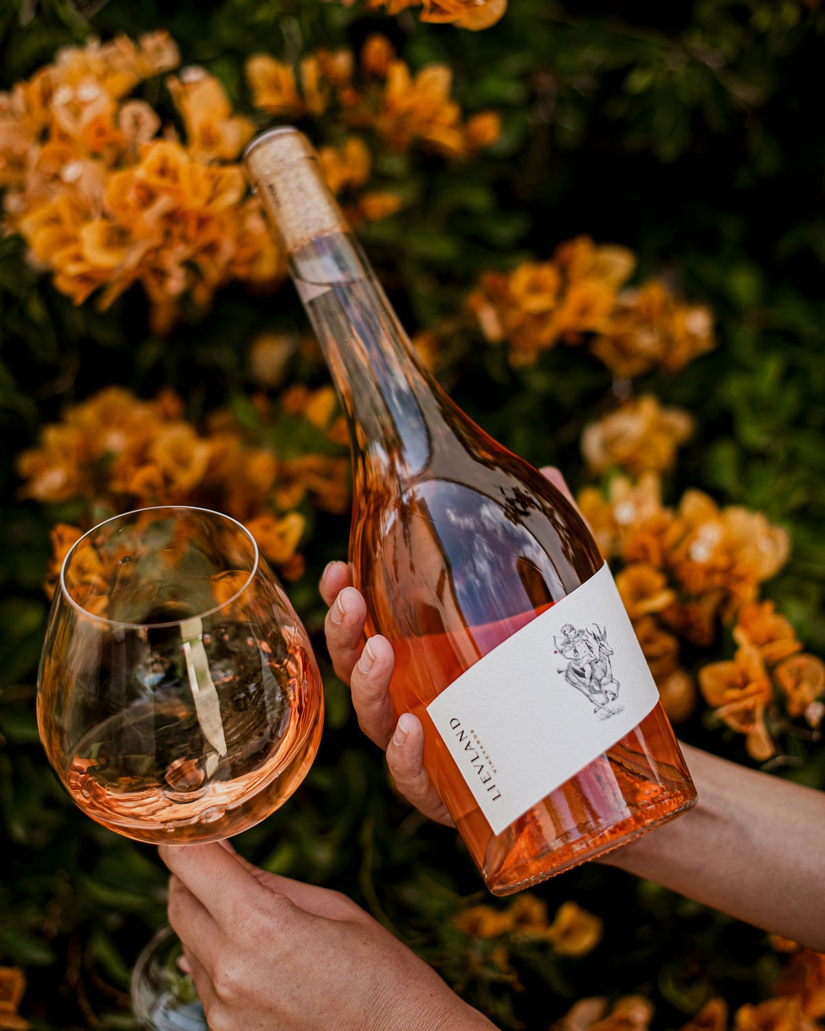 Lievland Liefkoos Rosé 2026