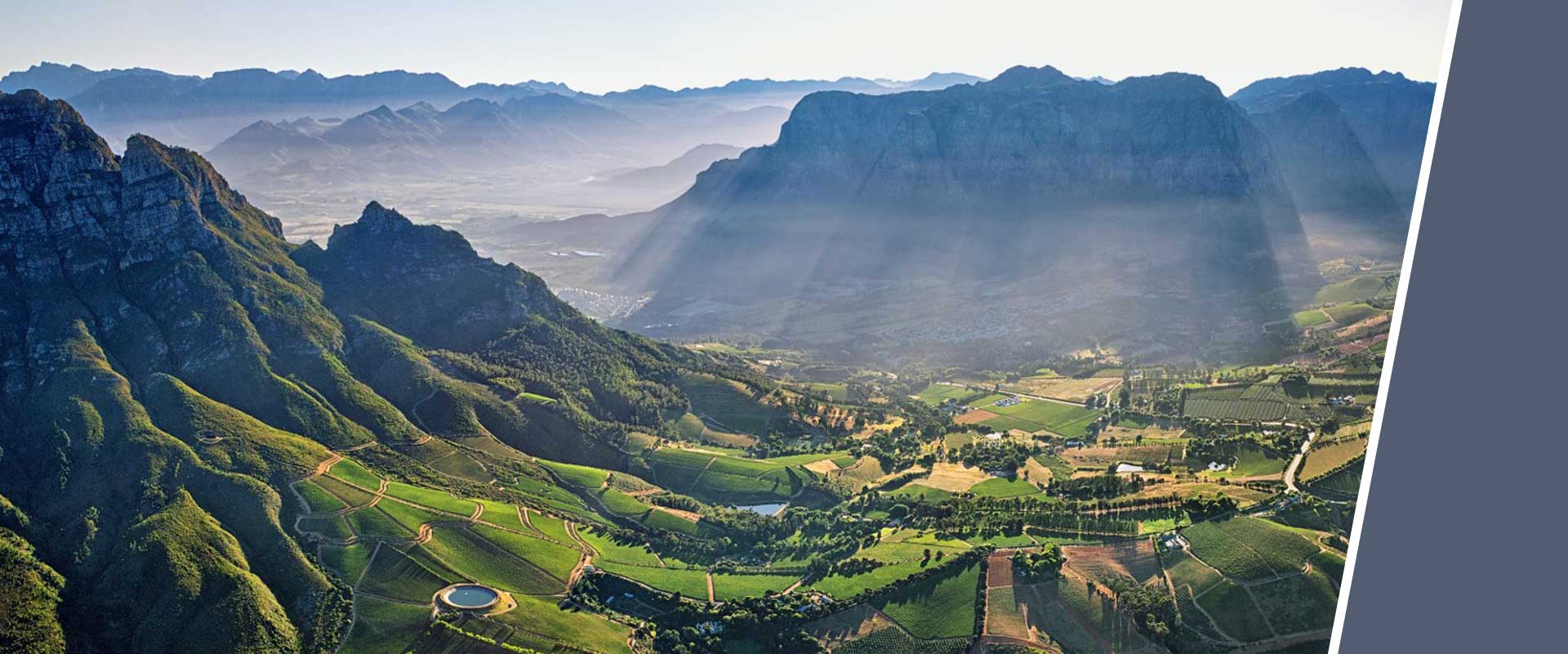 Panoramic view of the vineyards and mountains in South Africa at sunrise