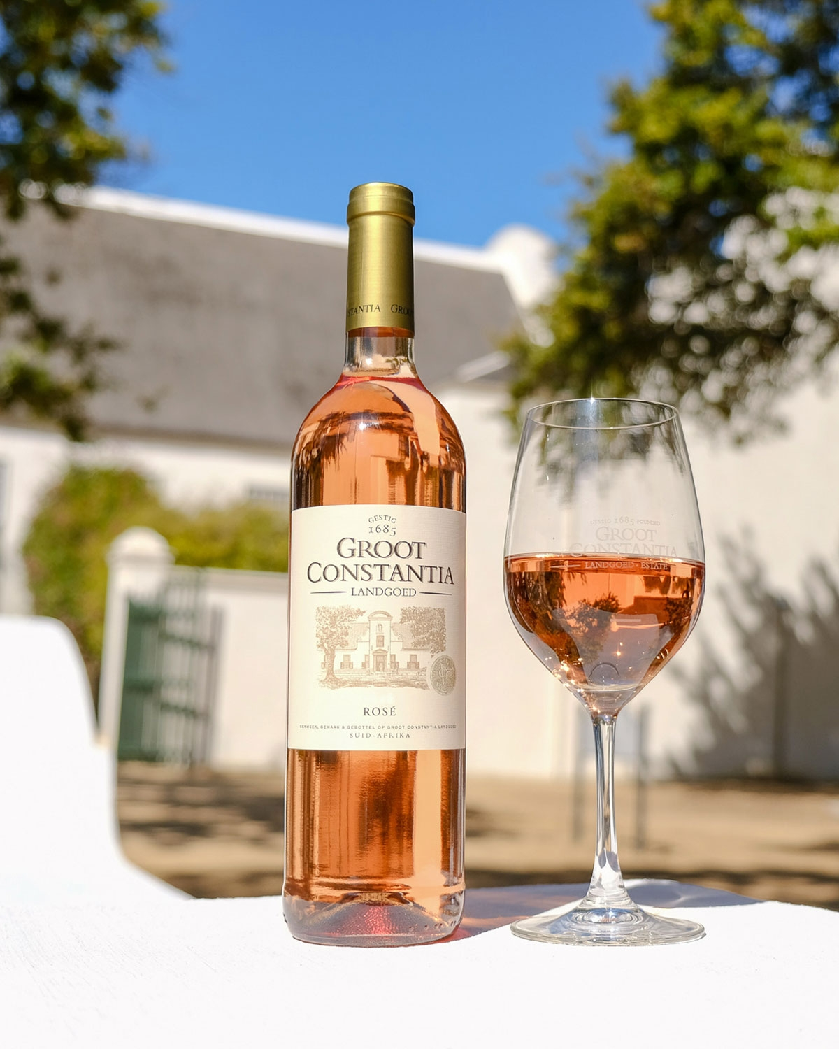 Wine of the Month August: Groot Constantia Rosé 2025 ✨ Buy 5 get 6