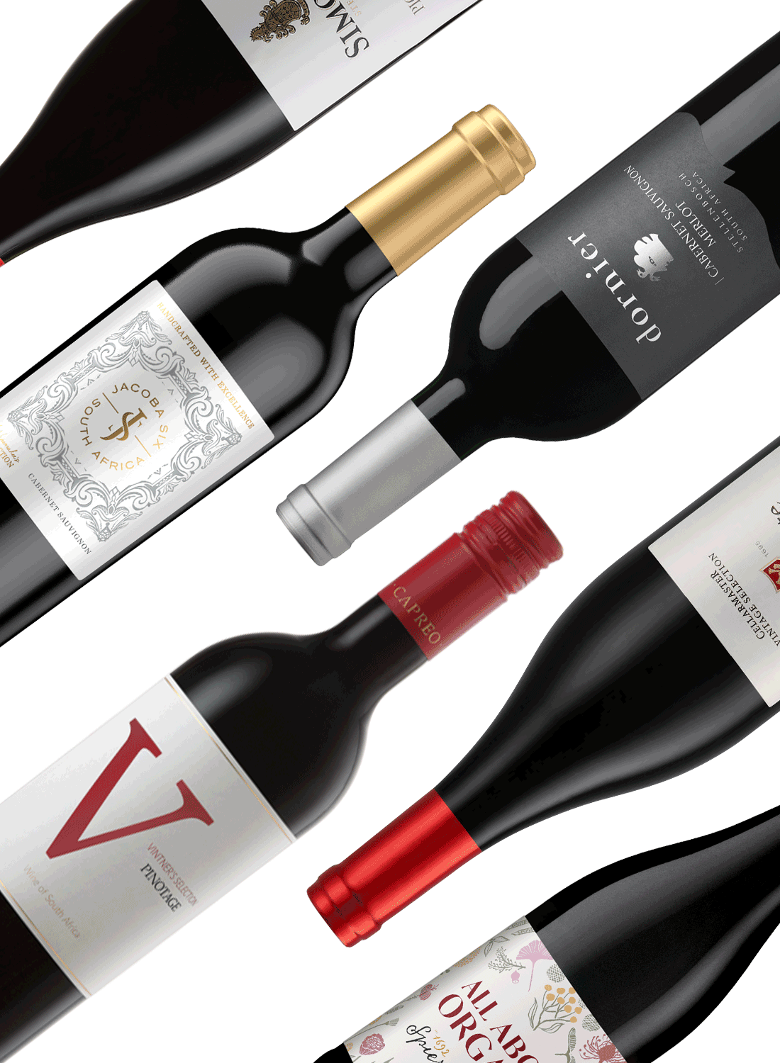 Best of Reds 🍷 Rotweinpaket