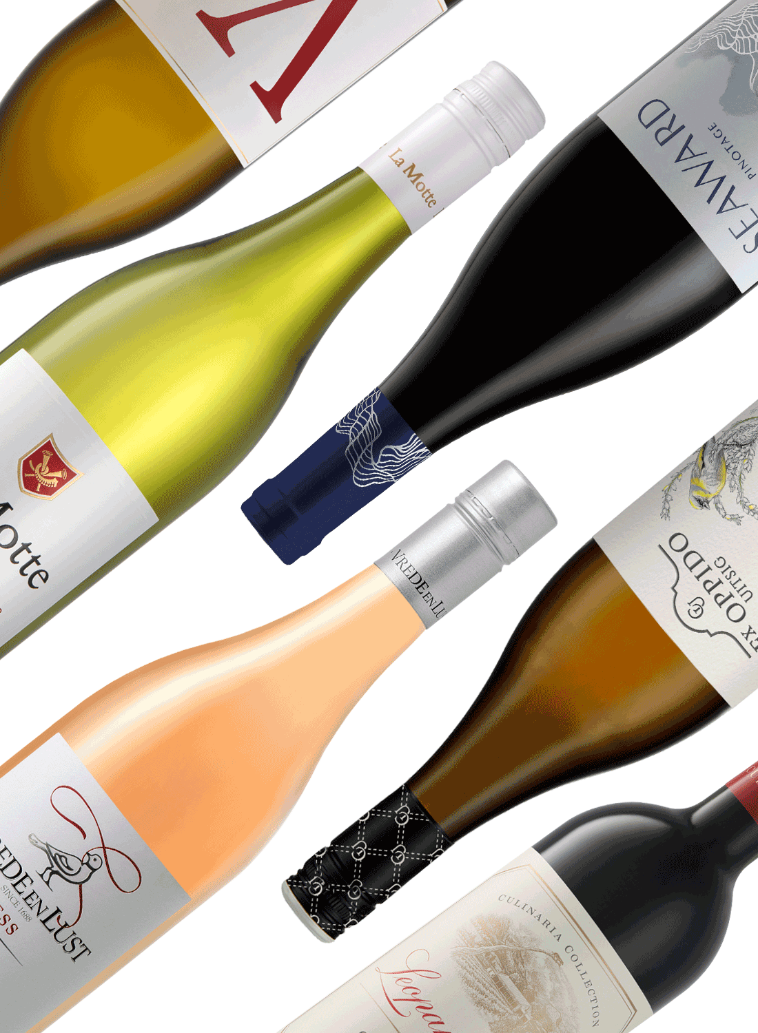 South Africa Discovery Package Classic 🌄