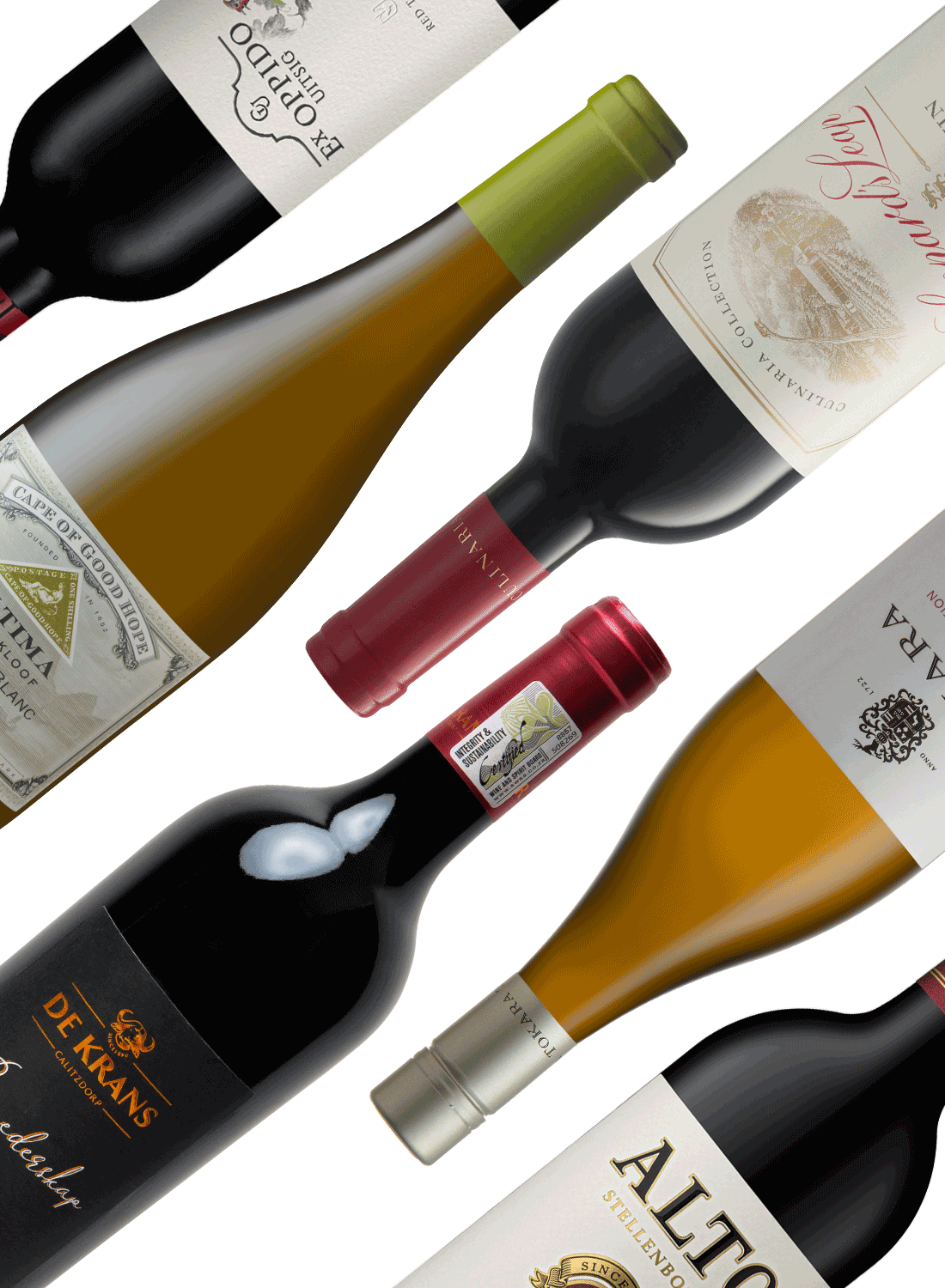 Best of Winter ❄️