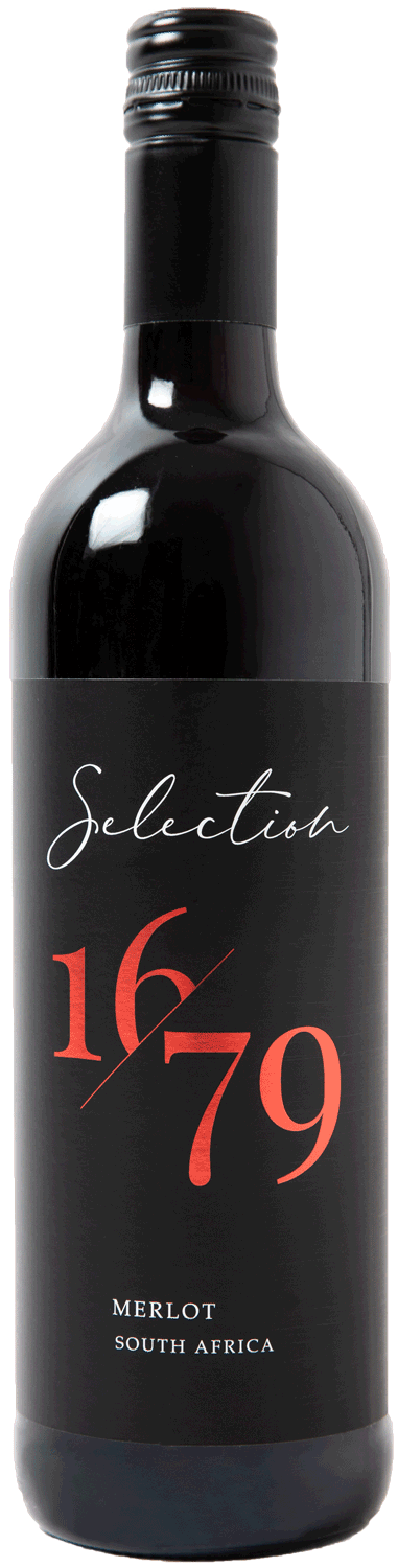 Blemished Bottle: Selection 16/79 Merlot 2019