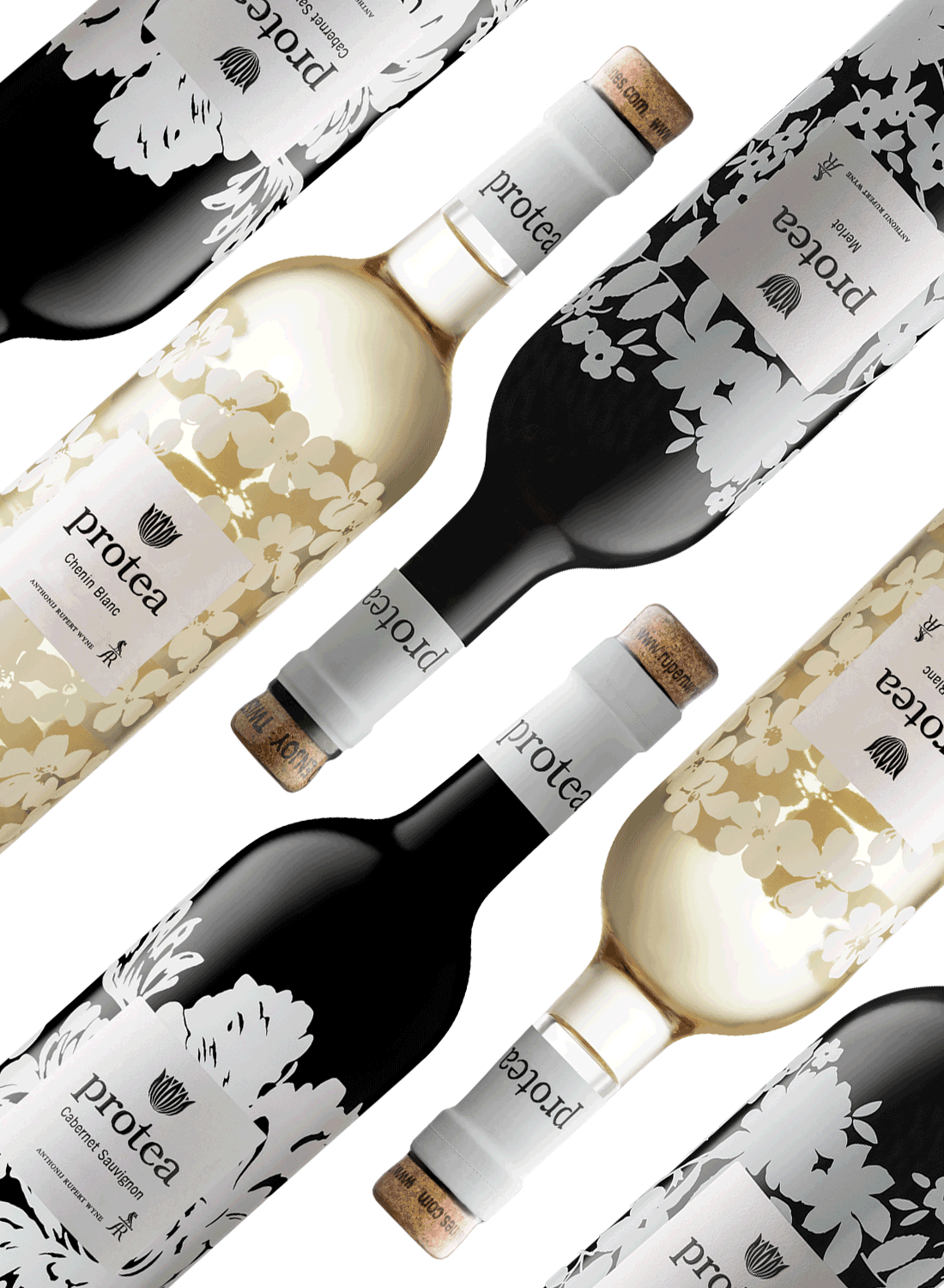 Anthonij Rupert Protea Range 💥 Benefit Package