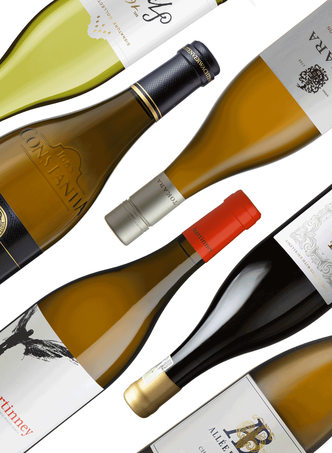 Best of Chardonnay 🍾